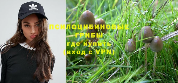 хмурый Новодвинск