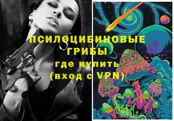 прущая мука Няндома