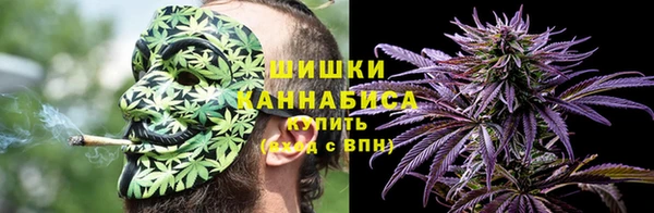 PSILOCYBIN Гусиноозёрск