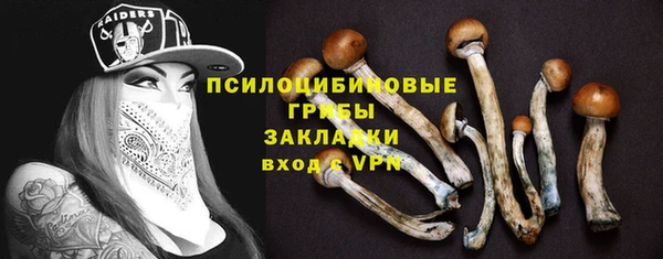хмурый Новодвинск